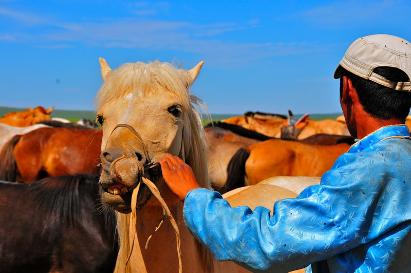 Mongolie
